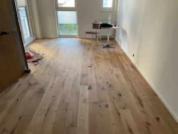 Dub Amerika - 3 barvy