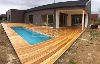 Modřín sibiřský hladký